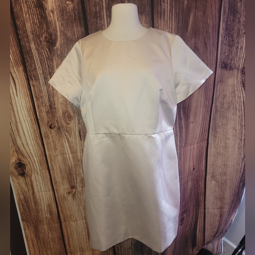 NWT Jcrew Collection Mini Dress Size 20 Soft Champagne